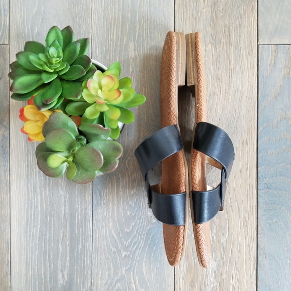 Circus by Sam Edelman Clover Black Sandal - Picture 5 of 8